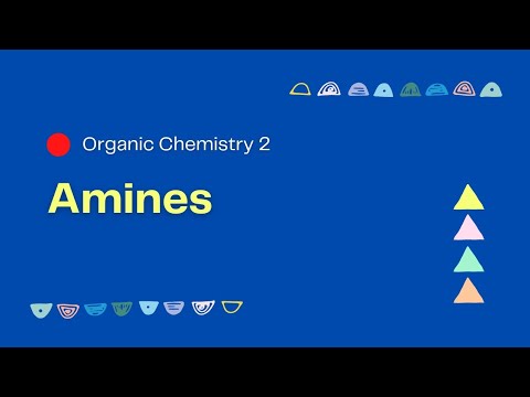 Amines | Organic Chemistry 2 | كيمياء عضوية الفرقة الأولى كلية الصيدلة
